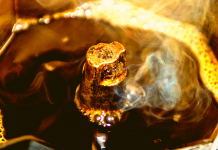 The Best Coffee Makers Under $100 Best Coffee Makers Under $100