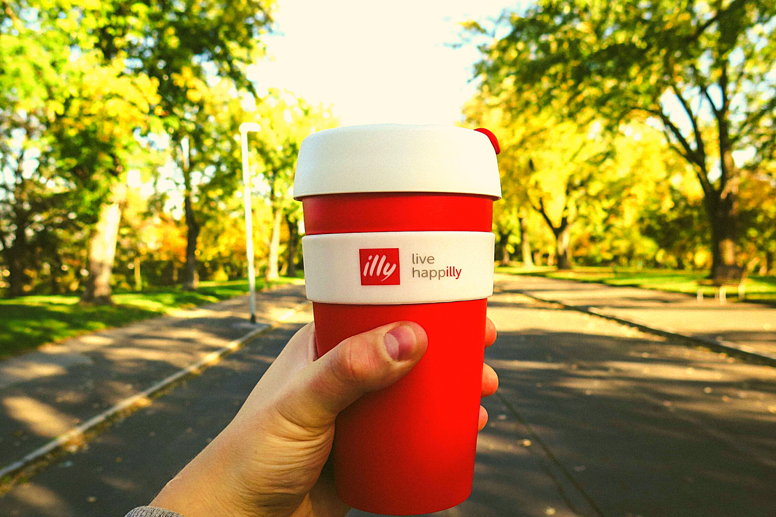 Best Illy Coffees