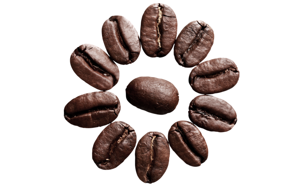 eating coffee beans